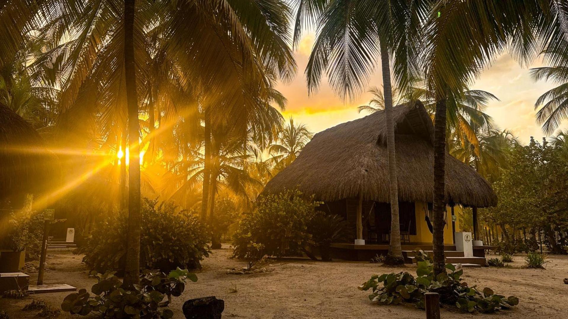 Aite Eco Resort Palomino Exteriér fotografie